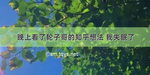 晚上看了轮子哥的知乎想法 我失眠了