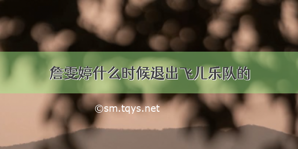 詹雯婷什么时候退出飞儿乐队的