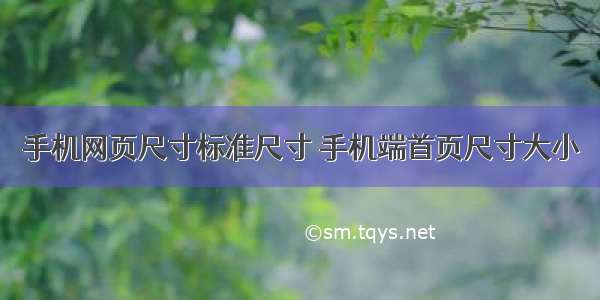 手机网页尺寸标准尺寸 手机端首页尺寸大小