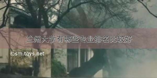 兰州大学有哪些专业排名比较好