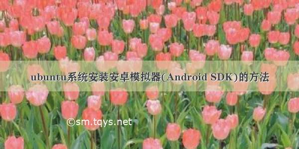 ubuntu系统安装安卓模拟器(Android SDK)的方法