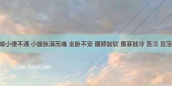 患者妊娠小便不通 小腹胀满而痛 坐卧不安 腰膝酸软 畏寒肢冷 舌淡 苔薄润 脉沉