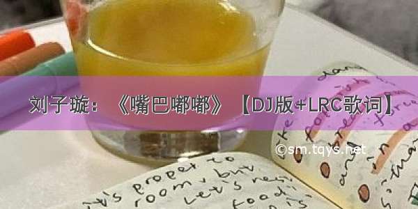 刘子璇：《嘴巴嘟嘟》【DJ版+LRC歌词】