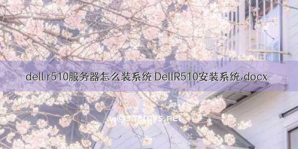 dell r510服务器怎么装系统 DellR510安装系统.docx