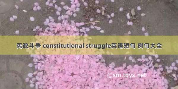 宪政斗争 constitutional struggle英语短句 例句大全
