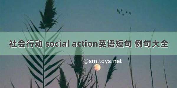 社会行动 social action英语短句 例句大全