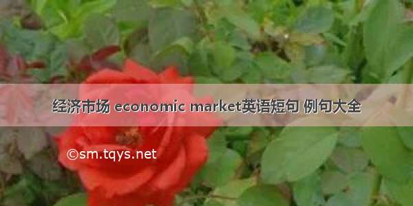 经济市场 economic market英语短句 例句大全