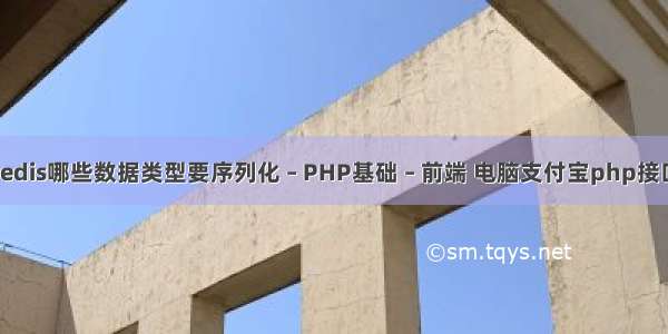 redis哪些数据类型要序列化 – PHP基础 – 前端 电脑支付宝php接口