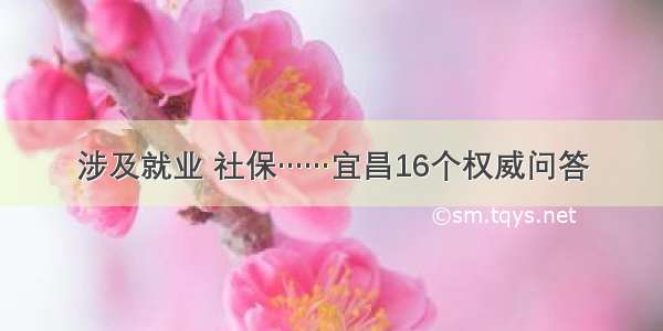 涉及就业 社保……宜昌16个权威问答