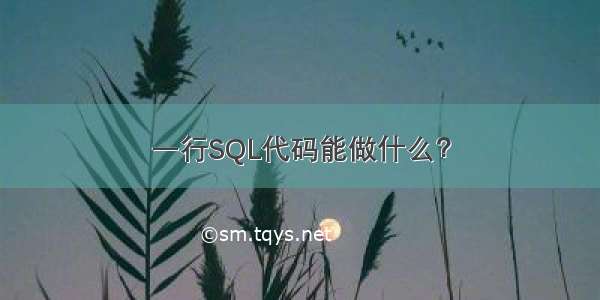 一行SQL代码能做什么？