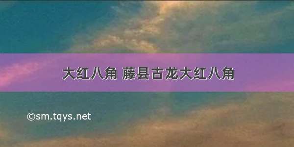 大红八角 藤县古龙大红八角