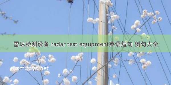 雷达检测设备 radar test equipment英语短句 例句大全