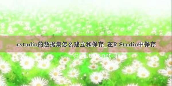 rstudio的数据集怎么建立和保存_在R Studio中保存