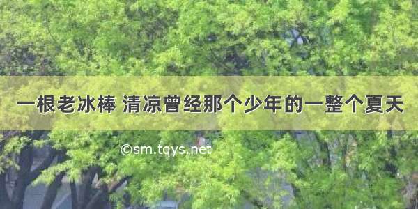 一根老冰棒 清凉曾经那个少年的一整个夏天