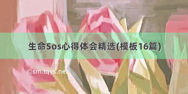 生命Sos心得体会精选(模板16篇)