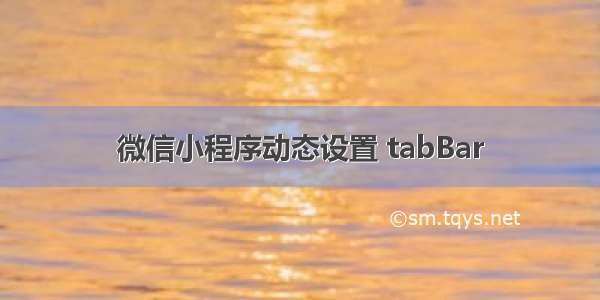 微信小程序动态设置 tabBar