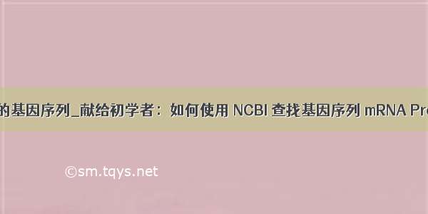 ncbi查找目的基因序列_献给初学者：如何使用 NCBI 查找基因序列 mRNA Promoter...