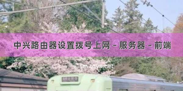 中兴路由器设置拨号上网 – 服务器 – 前端