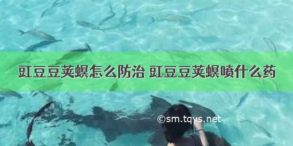 豇豆豆荚螟怎么防治 豇豆豆荚螟喷什么药