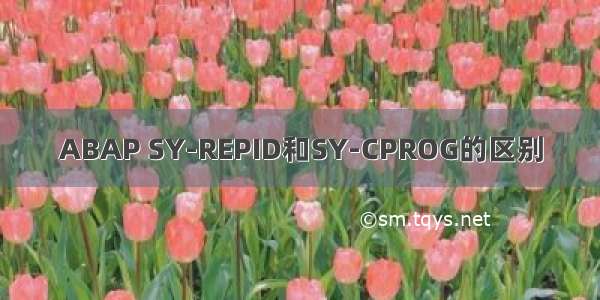 ABAP SY-REPID和SY-CPROG的区别