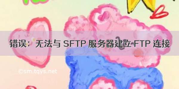 错误：无法与 SFTP 服务器建立 FTP 连接