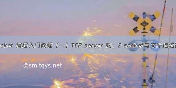 socket 编程入门教程（一）TCP server 端：2 socket与文件描述符