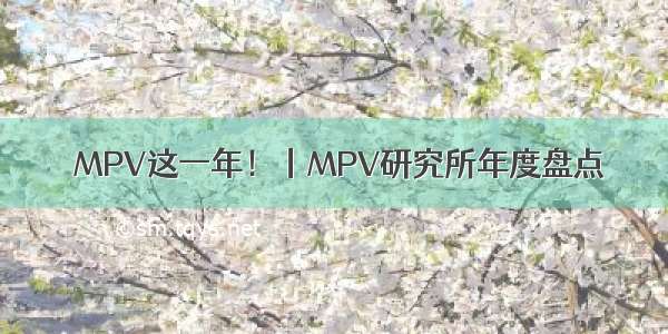  MPV这一年！丨MPV研究所年度盘点