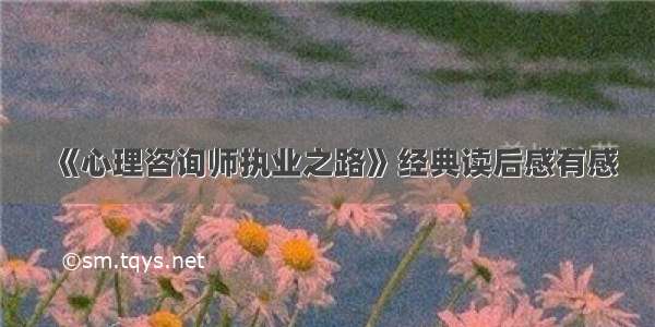 《心理咨询师执业之路》经典读后感有感