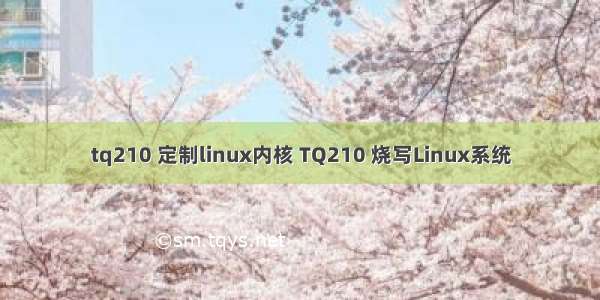 tq210 定制linux内核 TQ210 烧写Linux系统