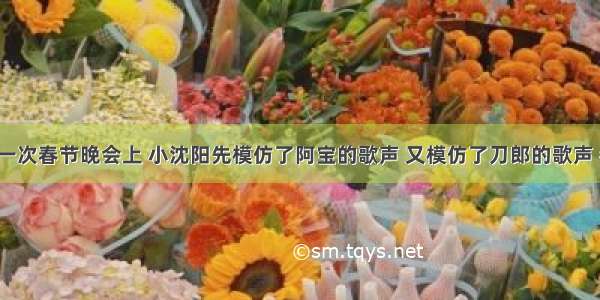 在CCTV的一次春节晚会上 小沈阳先模仿了阿宝的歌声 又模仿了刀郎的歌声 都惟妙惟肖