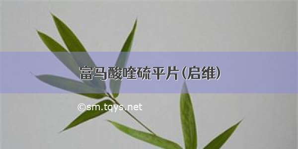 富马酸喹硫平片(启维)