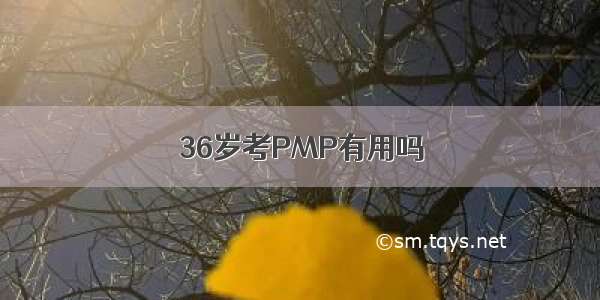 36岁考PMP有用吗