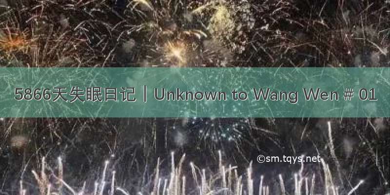 5866天失眠日记｜Unknown to Wang Wen # 01