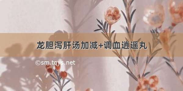 龙胆泻肝汤加减+调血逍遥丸