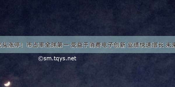 光学龙头涨停！市占率全球第一 受益于消费电子创新 业绩快速增长 未来可期！