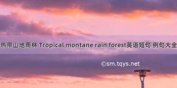 热带山地雨林 Tropical montane rain forest英语短句 例句大全