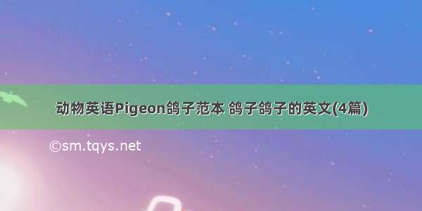 动物英语Pigeon鸽子范本 鸽子鸽子的英文(4篇)