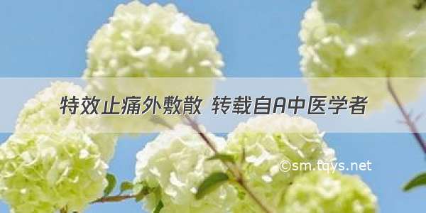 特效止痛外敷散 转载自A中医学者