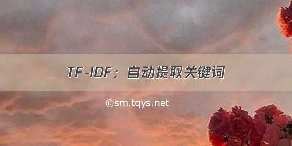 TF-IDF：自动提取关键词