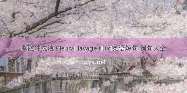 胸腔冲洗液 Pleural lavage fluid英语短句 例句大全