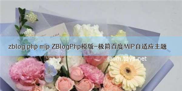 zblog php mip ZBlogPhp模版-极简百度MIP自适应主题