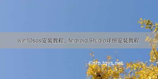 win10sas安装教程_Android Studio详细安装教程