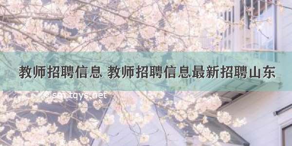 教师招聘信息 教师招聘信息最新招聘山东