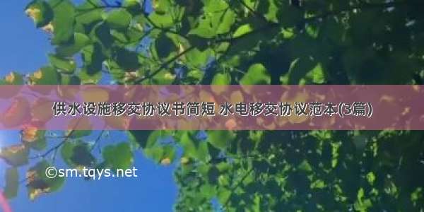 供水设施移交协议书简短 水电移交协议范本(3篇)