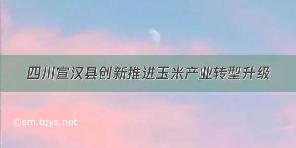 四川宣汉县创新推进玉米产业转型升级