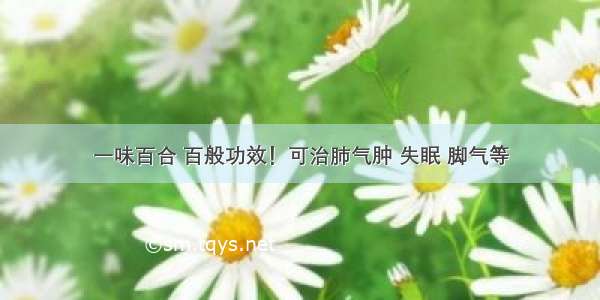 一味百合 百般功效！可治肺气肿 失眠 脚气等