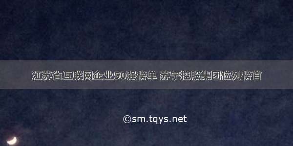 江苏省互联网企业50强榜单 苏宁控股集团位列榜首