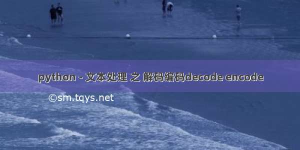 python - 文本处理 之 解码编码decode encode