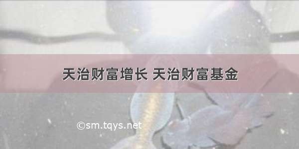 天治财富增长 天治财富基金