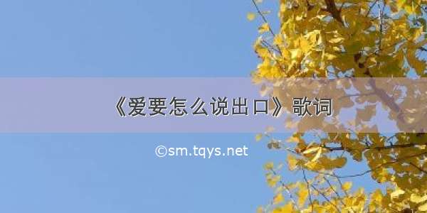 《爱要怎么说出口》歌词